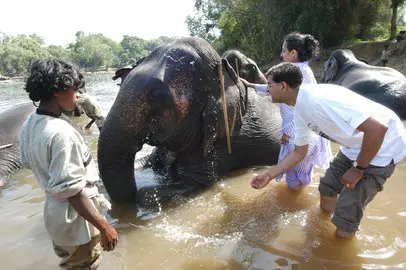  Full Day Tour - Dubare Elephant Camp, Nisargadhama, Golden Temple
