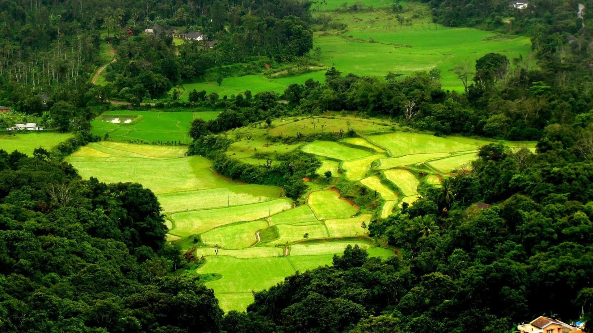 coorg-tours-from-bangalore